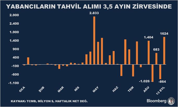 Yurt Dışında Yerleşiklerin Stok Durumu