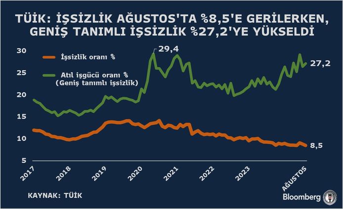 2024 Yılı Ağustos Ayı İşgücü Araştırması Sonuçları