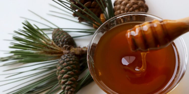 Türkiye’den dünyanın dört bir tarafına 7 milyon dolarlık çam balı ihracatı