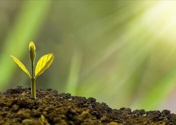 Sürdürülebilirlik temalı krediler geleceğe yön veriyor