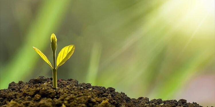 Sürdürülebilirlik temalı krediler geleceğe yön veriyor