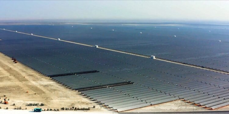 Tek güneş paneli 50 ağaç kadar karbon emisyonunu azaltıyor