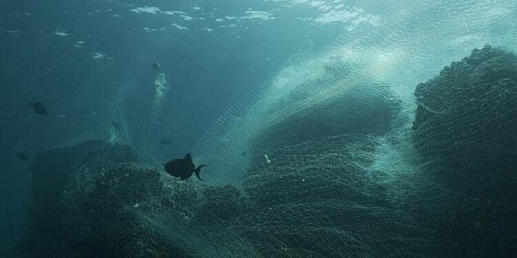 Samsung, atık balıkçı ağlarını geri dönüştürüyor