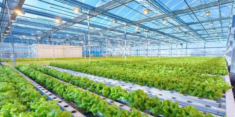 Assan Panel yeni ürünlerini Azerbaycan tesisinde üretecek