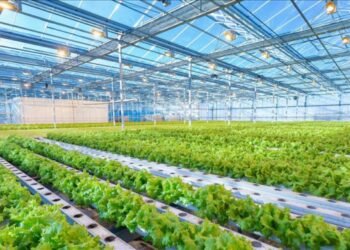 Assan Panel yeni ürünlerini Azerbaycan tesisinde üretecek