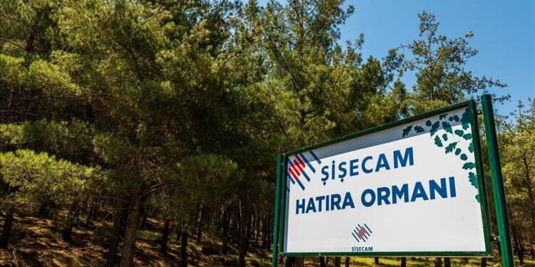 Şişecam’dan 400 dönümlük hatıra ormanı