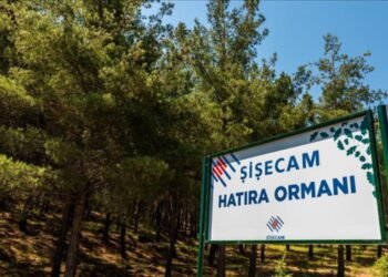 Şişecam’dan 400 dönümlük hatıra ormanı