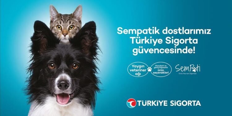Türkiye Sigorta’dan patili dostlara özel sigorta seçeneği