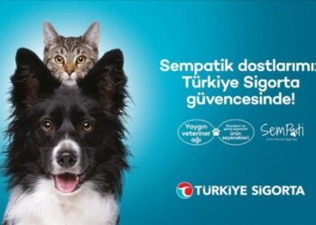 Türkiye Sigorta’dan patili dostlara özel sigorta seçeneği
