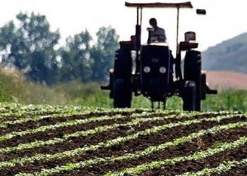 TARSİM, 2023 hazırlıklarını sürdürüyor