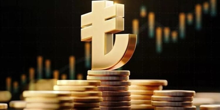 Dijital Türk lirası için test aşaması gelecek yıl başlayacak