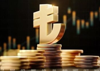 Dijital Türk lirası için test aşaması gelecek yıl başlayacak