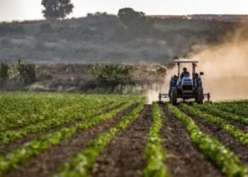 Çiftçilere tarımsal destekleme ödemeleri yapıldı