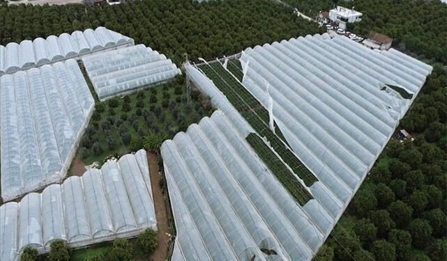 TARSİM heyeti sigortalı seralardaki ekspertiz çalışmalarına katıldı