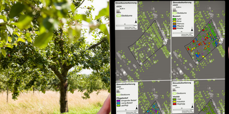 Audi Çevre Vakfı, dronla meyve bahçelerini takip ediyor
