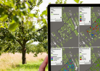 Audi Çevre Vakfı, dronla meyve bahçelerini takip ediyor