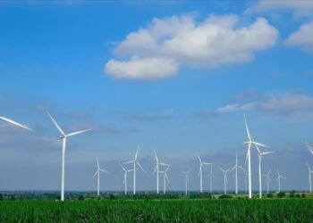 AB’den 15,2 milyar avroluk yenilenebilir enerji ürünü ithalatı