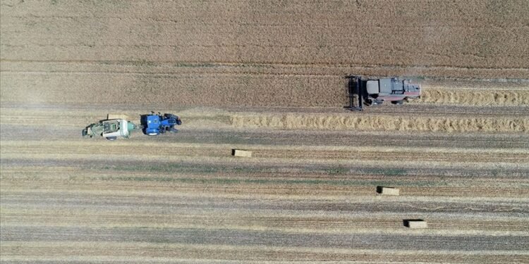 TÜİK, eylül ayına ilişkin Tarım-GFE verilerini paylaştı