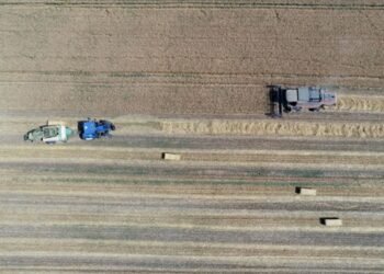 TÜİK, eylül ayına ilişkin Tarım-GFE verilerini paylaştı