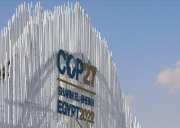 İklim krizinin biyoçeşitlilik üzerindeki etkilerine karşı girişim başlatıldı