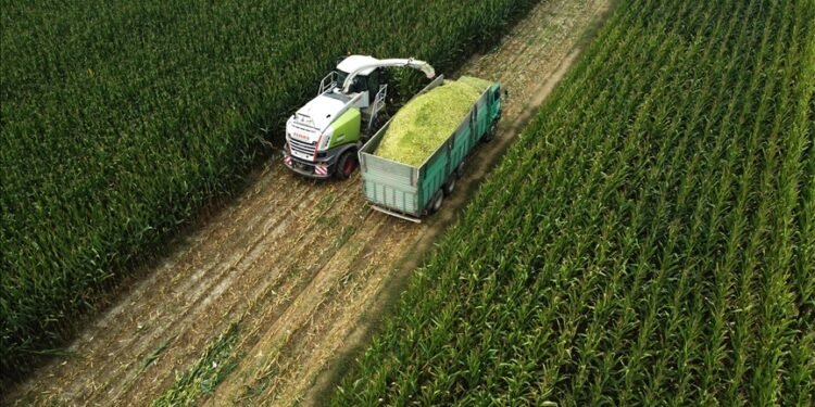 Tarım yatırımlarında teşvik belgesi istatistikleri paylaşıldı