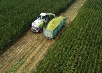 Tarım yatırımlarında teşvik belgesi istatistikleri paylaşıldı