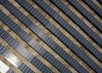 300 milyon metrekare hazine arazisi ekonomiye kazandırılacak