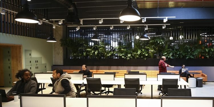 Kamu bankalarından “Tekno Girişimci Destek Kredisi”