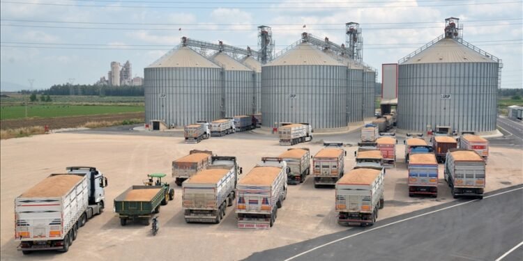 Adana’da lisanslı depoculuk kapasitesi 700 bin tonu aştı