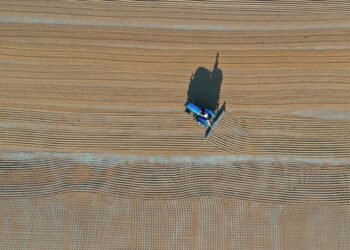 Tarım sektöründen ihracatta ocak rekoru