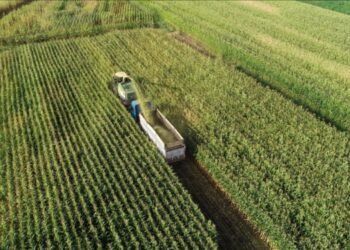 Kırsal kalkınma desteği ve ÇKS ürün güncelleme başvurularında süre uzatıldı