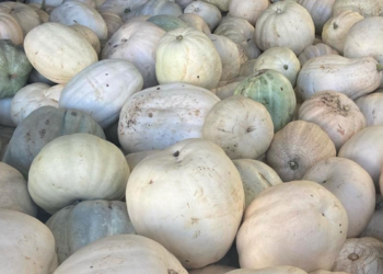 Metro Türkiye’den deprem bölgesindeki üreticilere destek