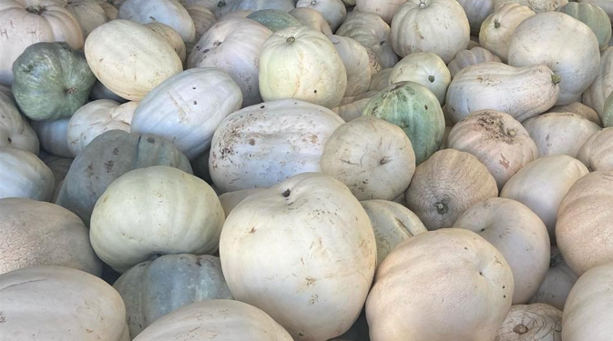 Metro Türkiye’den deprem bölgesindeki üreticilere destek