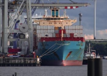 Çinli şirket Cosco, Mısır limanından yüzde 25 hisse satın aldı