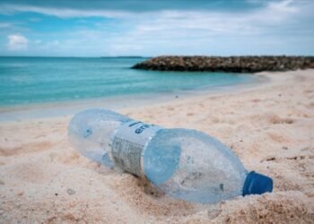 Okyanuslarda 171 trilyon plastik parçası olduğu tahmin ediliyor