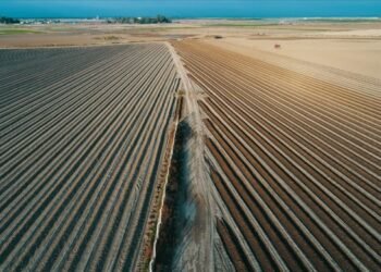 TARSİM için belirlenen “hasar fazlası desteği”ne ilişkin prim oranları açıklandı