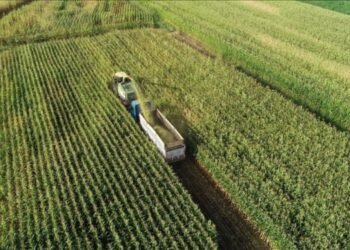 TMO depremzede çiftçilerden 142 bin ton ürün aldı