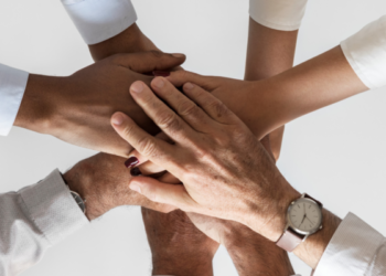 Güven ve İş Birliği