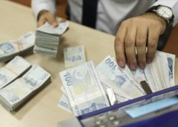 Merkez Bankası’ndan liralaşma stratejisi