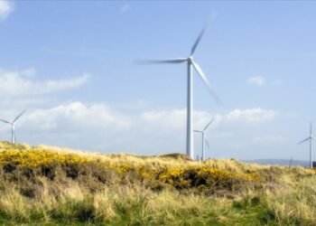 “Dünya Enerji Dönüşümü Görünümü 2023 Raporu” kamuoyuyla paylaşıldı