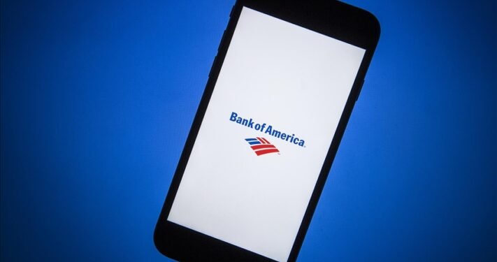 ABD’nin en büyük ikinci bankası Bank of America’ya 250 milyon dolarlık ceza
