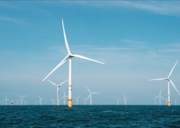 Deniz üstü rüzgâr enerjisi saha geliştirme çalışmaları kapsamında çevresel analiz yapılacak