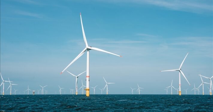 Deniz üstü rüzgâr enerjisi saha geliştirme çalışmaları kapsamında çevresel analiz yapılacak
