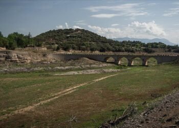 Küresel ısınma gıda enflasyonunu her yıl yüzde 3 artırabilir