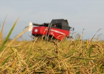 Tarımsal üretimde “sözleşmeli üretim yönetim sistemi” kurulacak