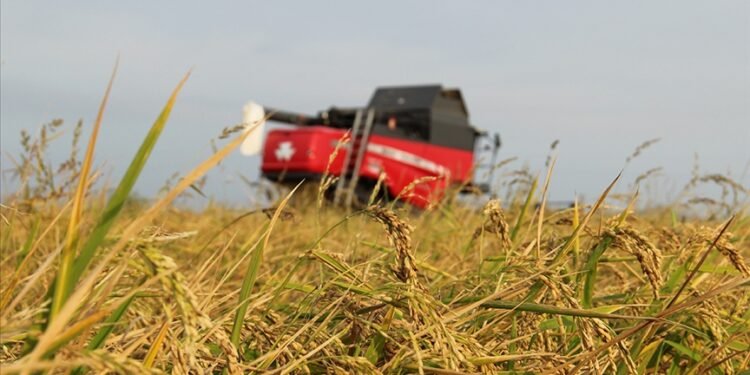Tarımsal üretimde “sözleşmeli üretim yönetim sistemi” kurulacak