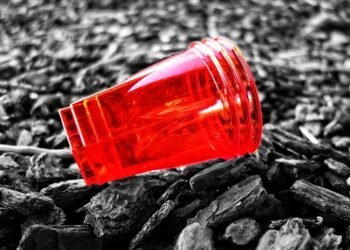 İngiltere’de tek kullanımlık plastik çatal, bıçak ve tabaklar yasaklandı