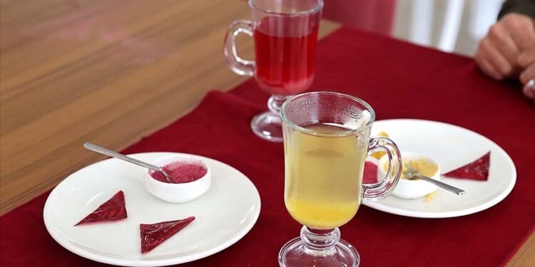 Türk bilim insanları mikroplastik riski olmayan yenilebilir bitki çayı poşeti geliştirdi