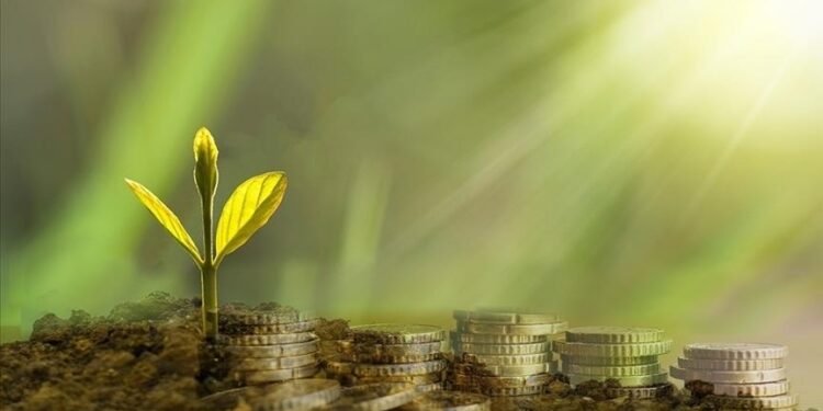 Dünya Bankası’ndan Türkiye’nin Yeşil Dönüşümüne Dev Destek