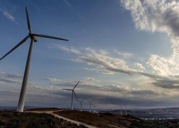 Enerji Dönüşümü Merkezi, “Net Sıfır 2053: Enerji Sektörü için Politikalar” Raporunu Açıkladı